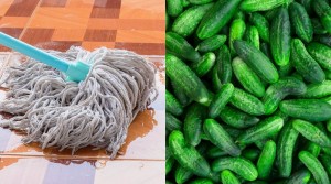 pepinos Trapeador - Cocinafacil.com