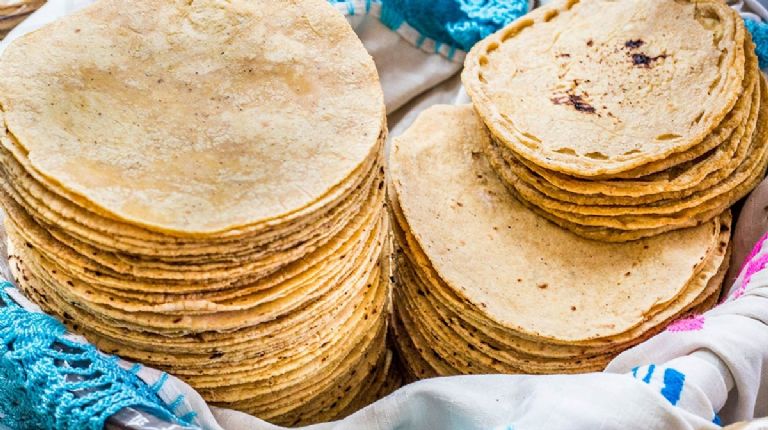 Tortillas - terra.com