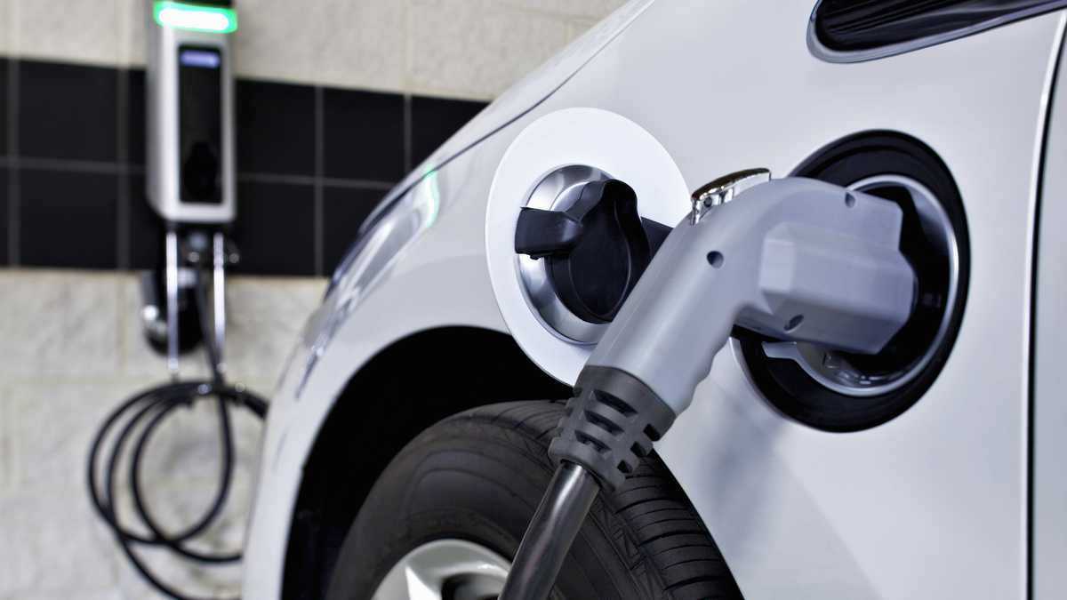 Auto electrico - Semana.com