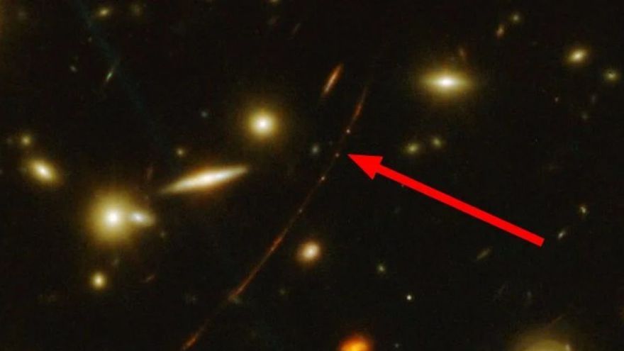 Estrella - Levante.com