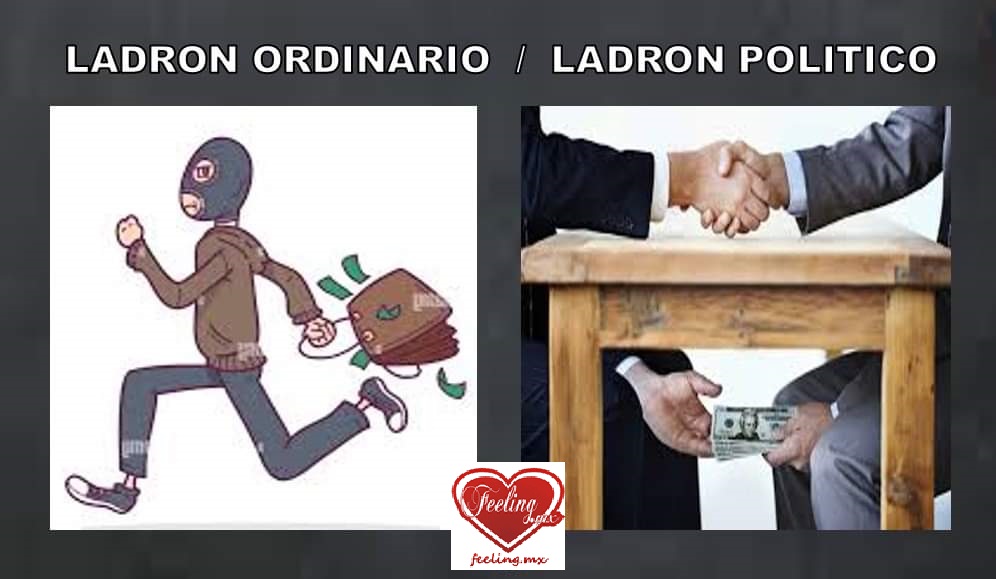 Ladrón Ordinario y Ladrón Político