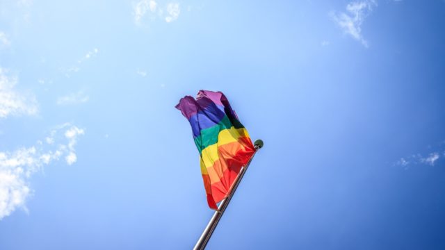 Bandera orgullo - El Pais