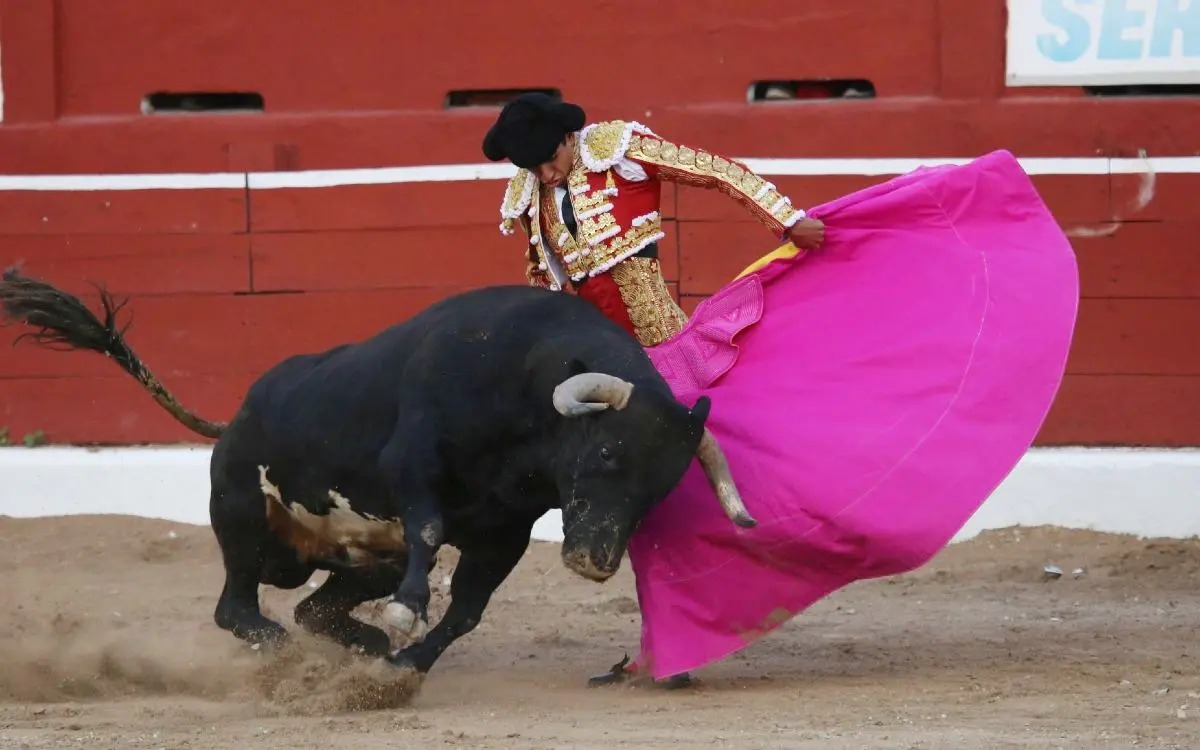 Aristegui - Toros Corridas