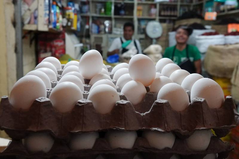 El Financiero - Cartera de Huevos