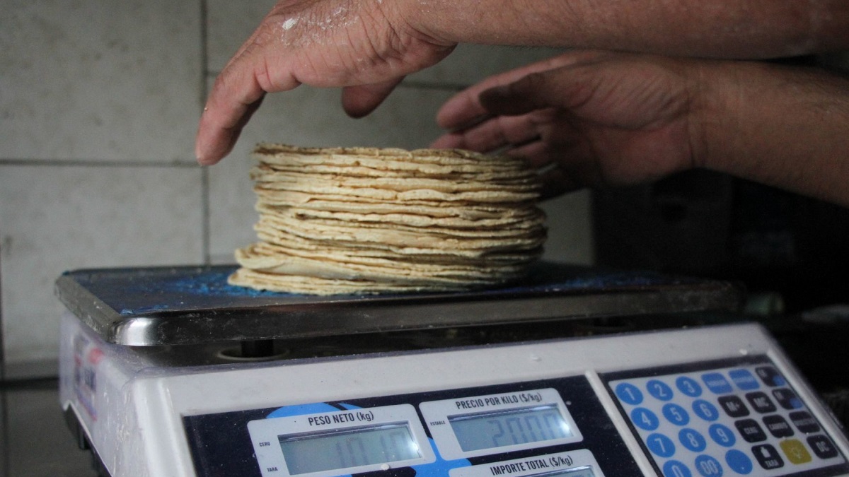Kilo de tortillas - UnoTv.com