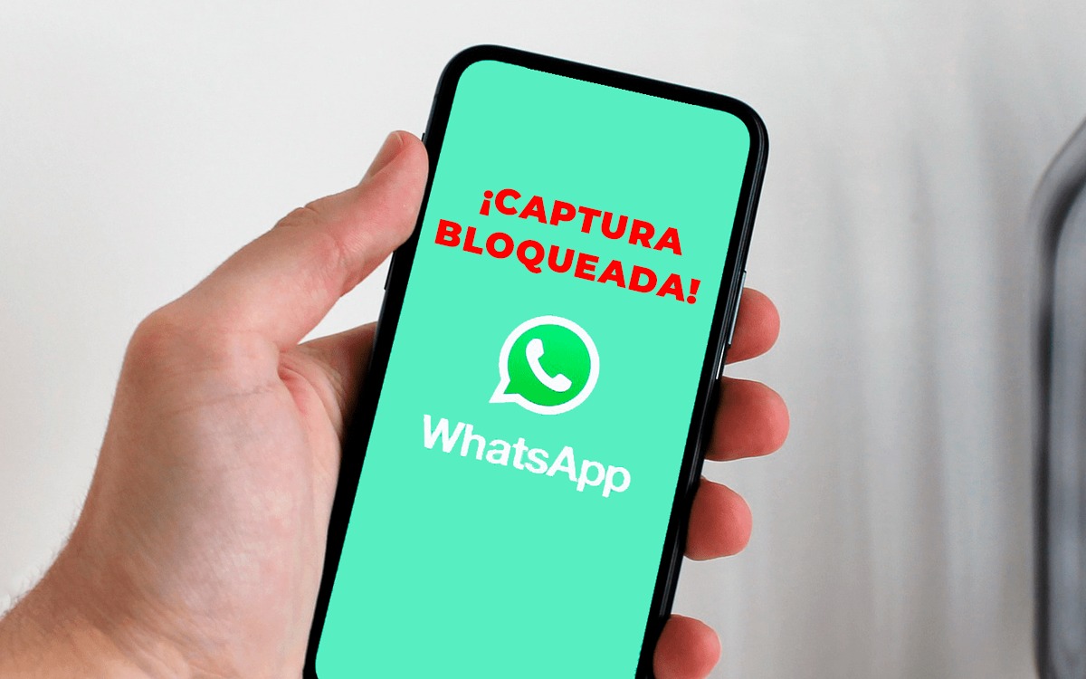 WhatsApp - ProAndroid.com