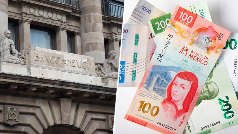 Banxico Cartera - El Financiero