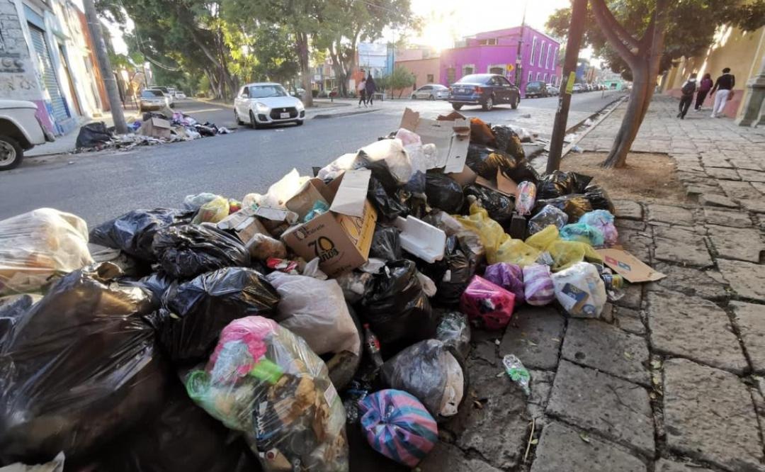 Basura Cofepris - El Universal