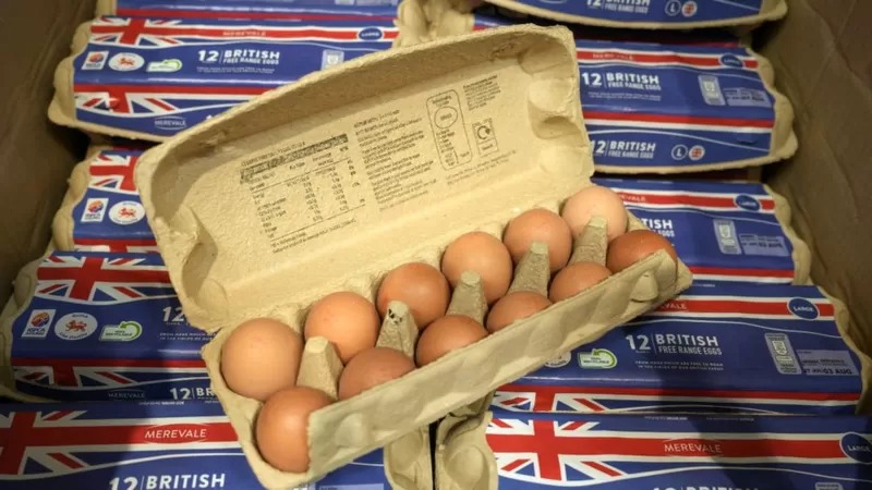 Huevos reino unido - BBC