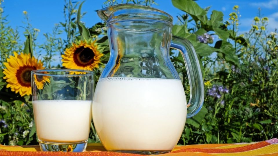 Leche - El Heraldo de Mexico