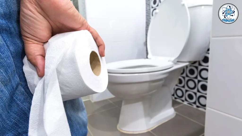 Papel Higienico - ensedeciencia