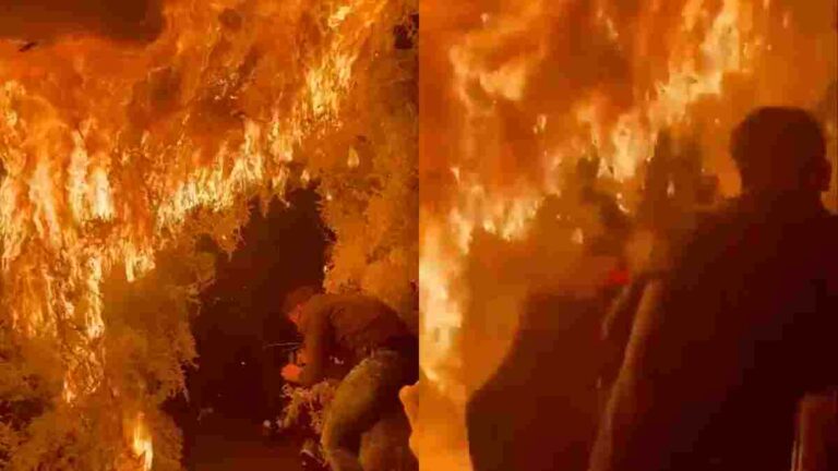 Arbol de navidad incendio unotv.com
