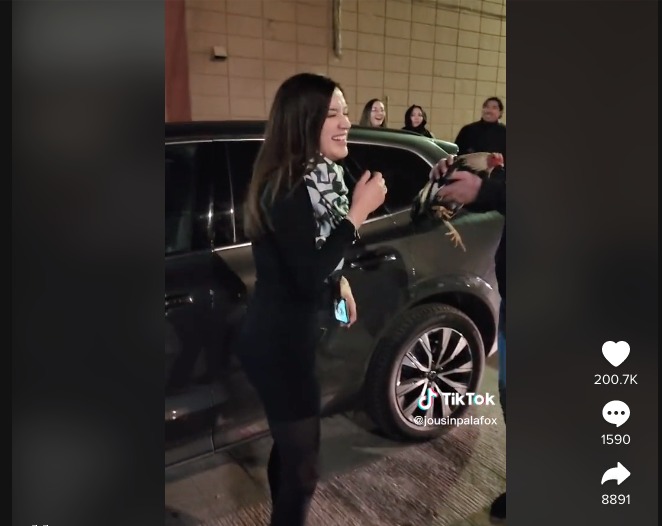 Gallo tiktok - merca2.0