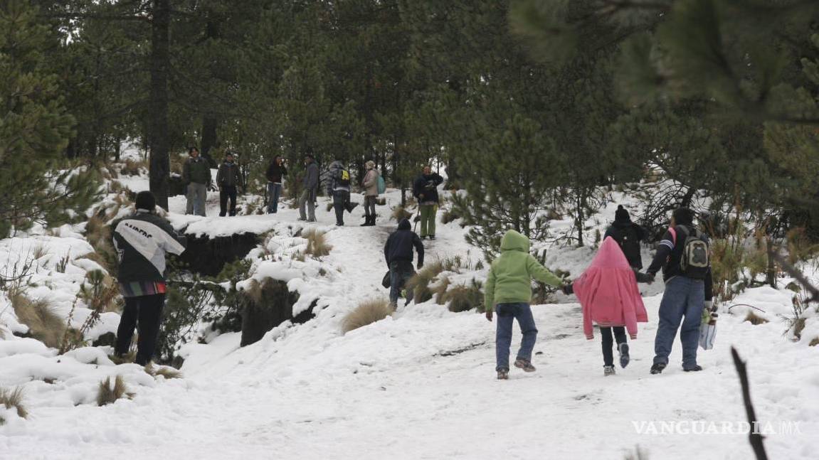 nieve mexico - vanguardia