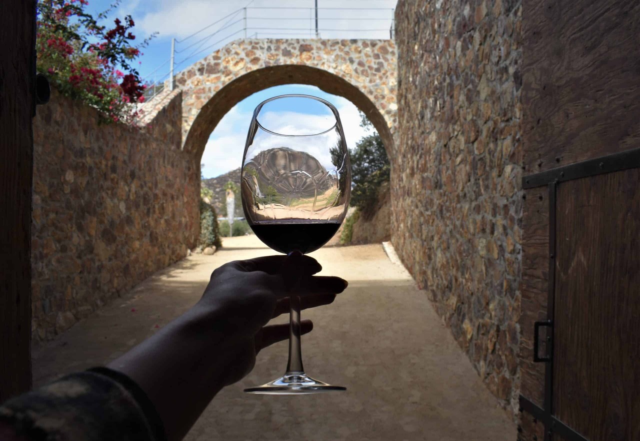 Ruta del vino - descubrenmexico