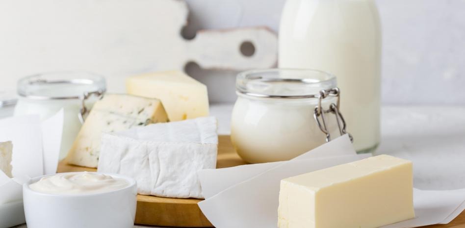 Leche queso lacteo - la vanguardia