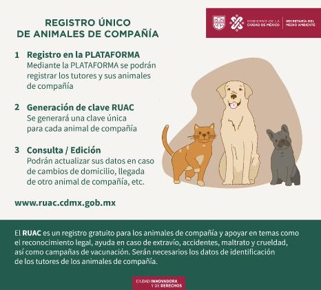 Registro oficial de mascotas en CD MX - Búsqueda de Google