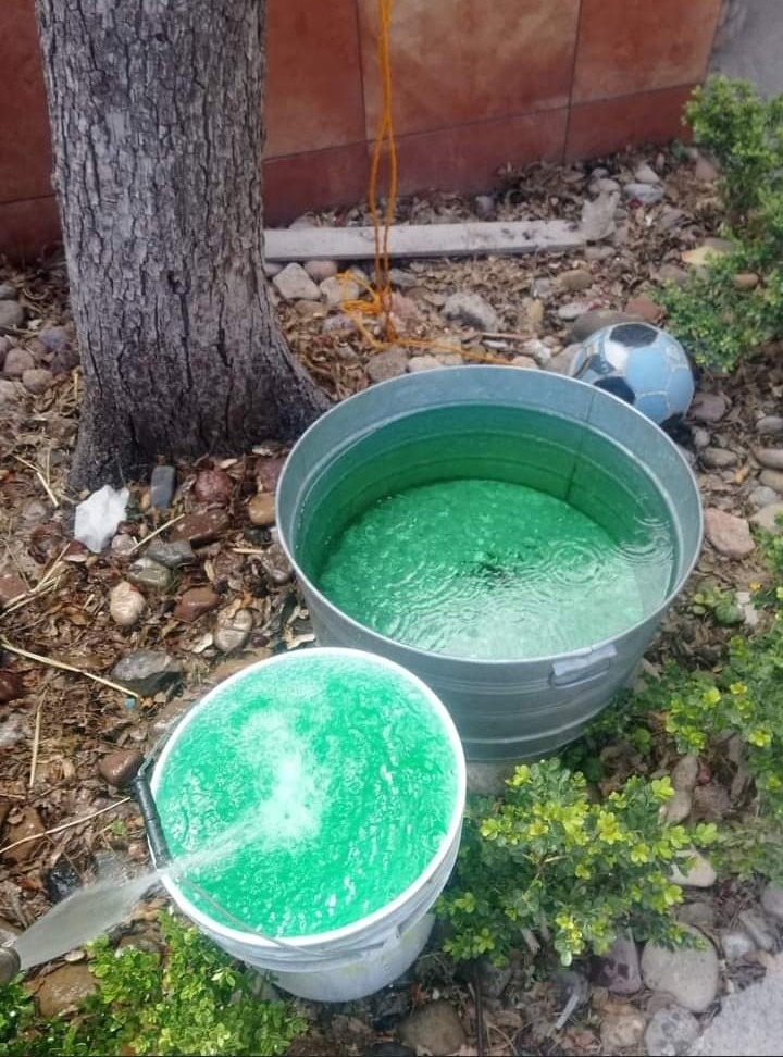 Agua verde - sinembargo