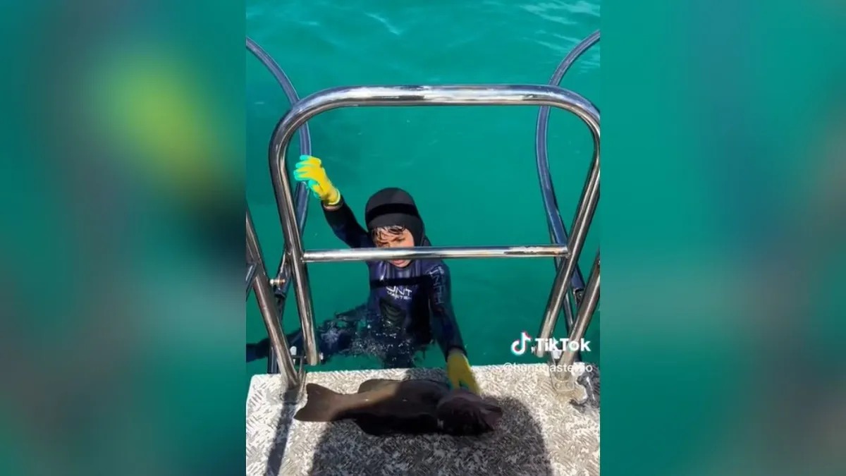 Aire de santa fe - niño tiburon