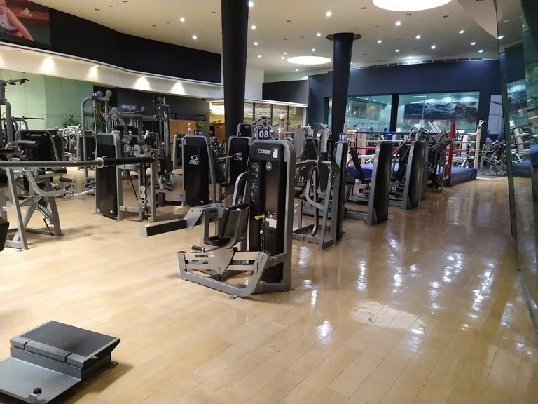 gimnasio coyoacan - infobae