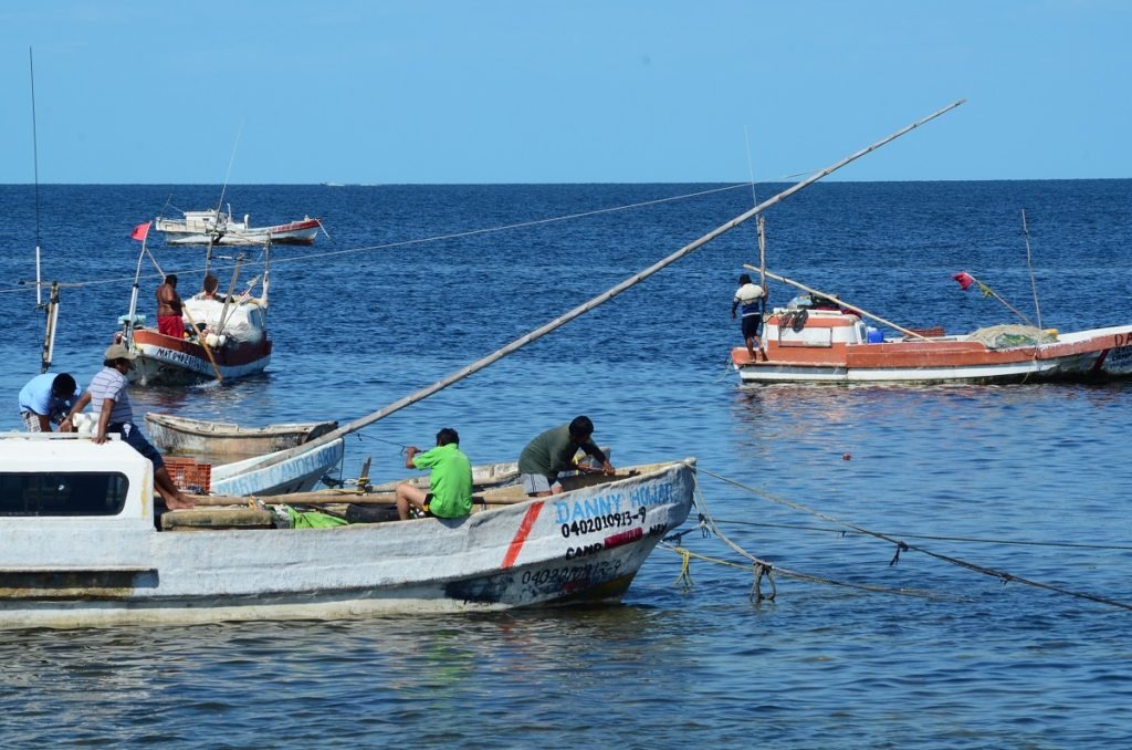 Pescadores ensenada apsn