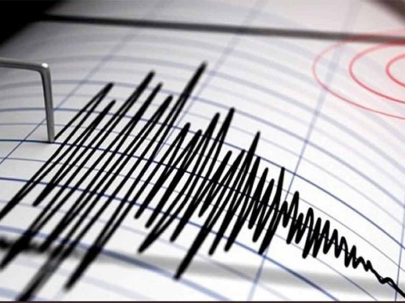 Sismo lecturas - excelsior