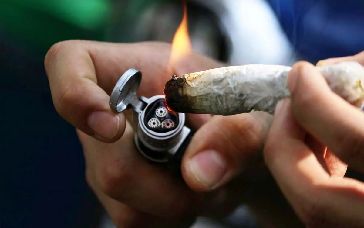 Cannabis - aristegui
