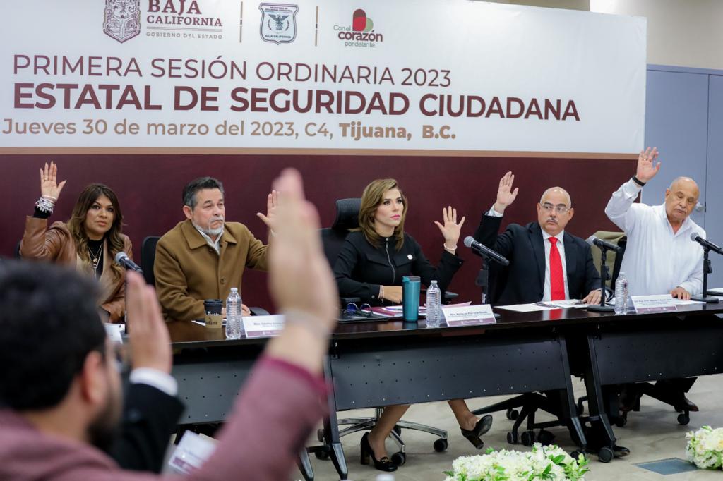 Consejo Estatal de Seguridad Ciudadana