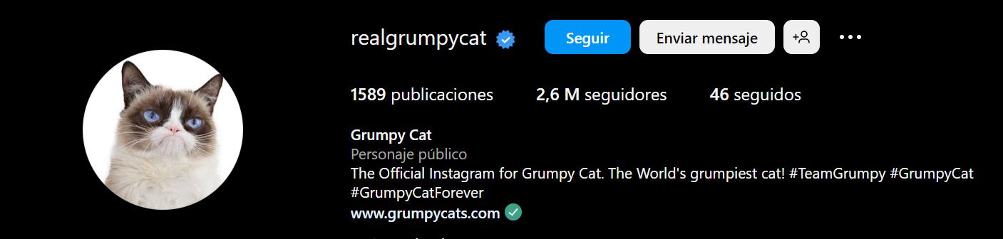 Grumpy Cat (@realgrumpycat) en Instagram