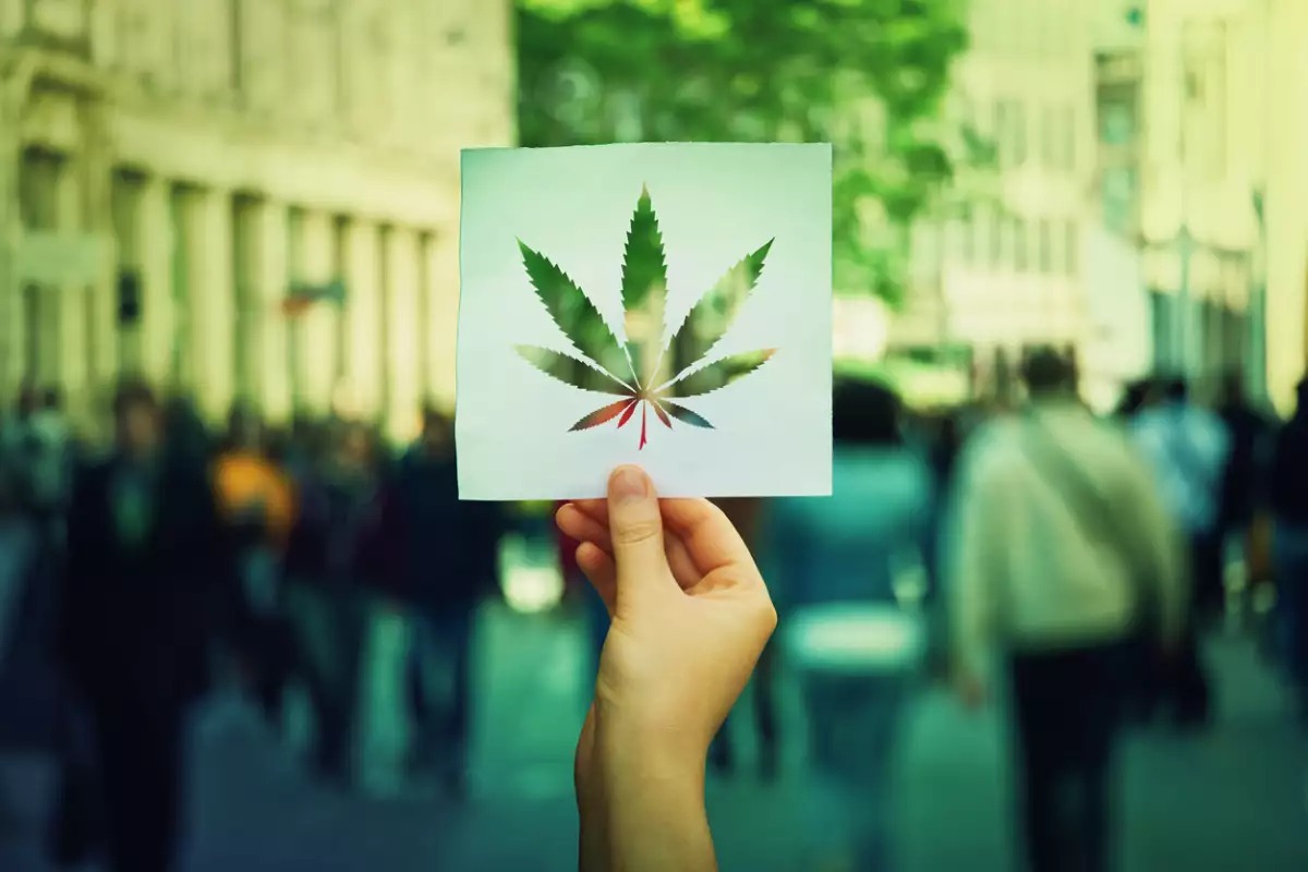 Marihuana - expansion.mx