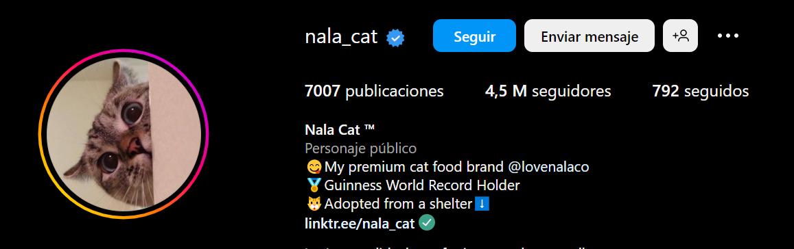 Nala Cat ™ (@nala_cat) en Instagram