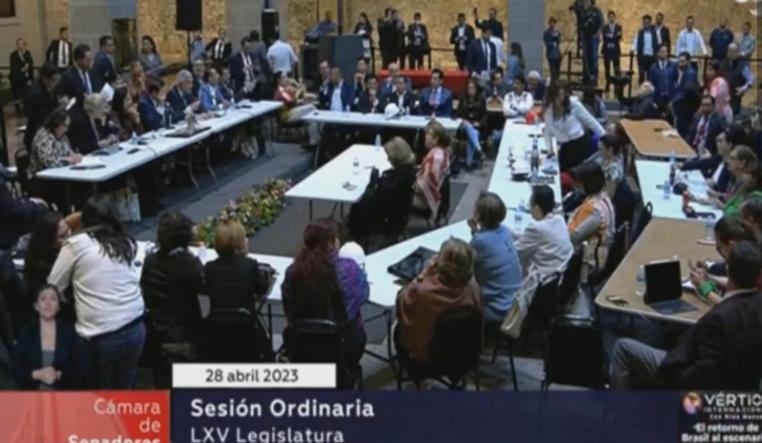 senadores de morena - Foto de Twitter