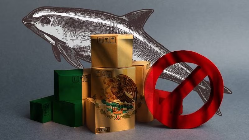 Vaquita marina - el financiero