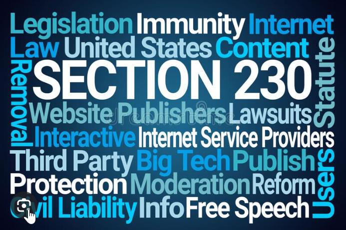 Seccion 230 - Foto de Google