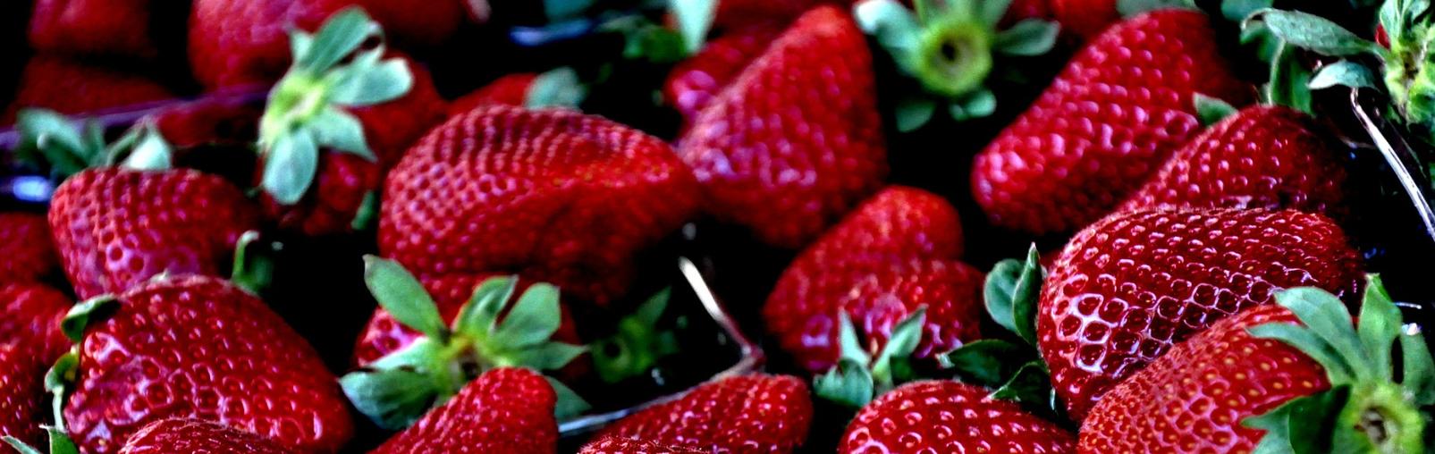 Retiran fresas de BC en EU por contaminación