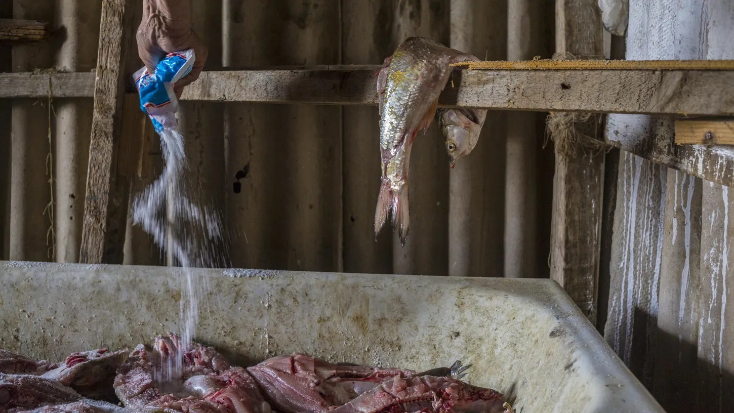 Sal pescado - nationalgeographic