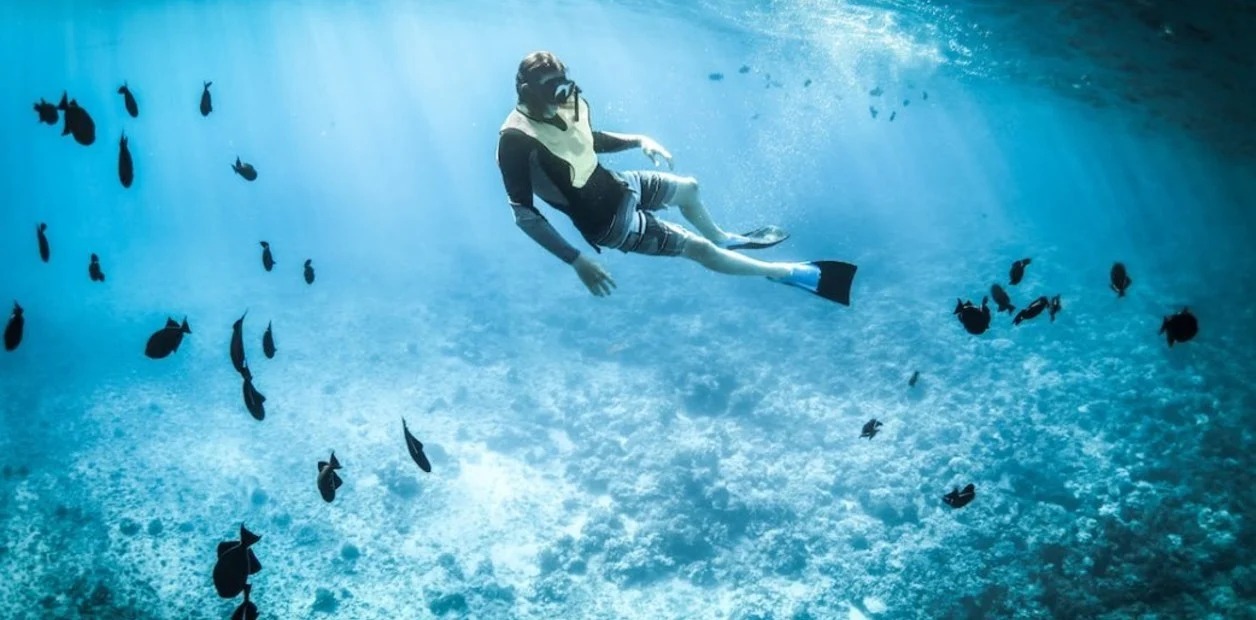 Buceo fondo del mar - clarin