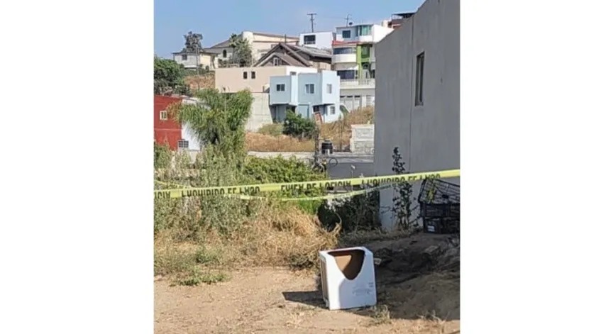 Feto valle verde - el imparcial