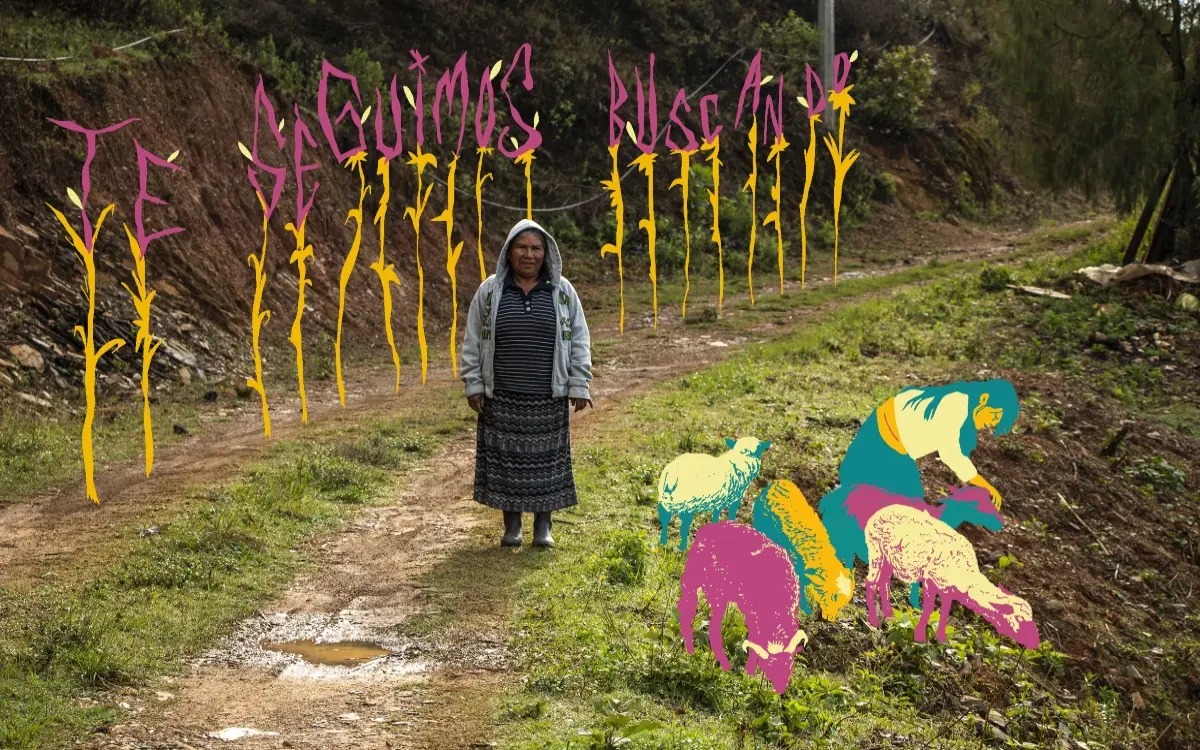 Indigenas aristegui