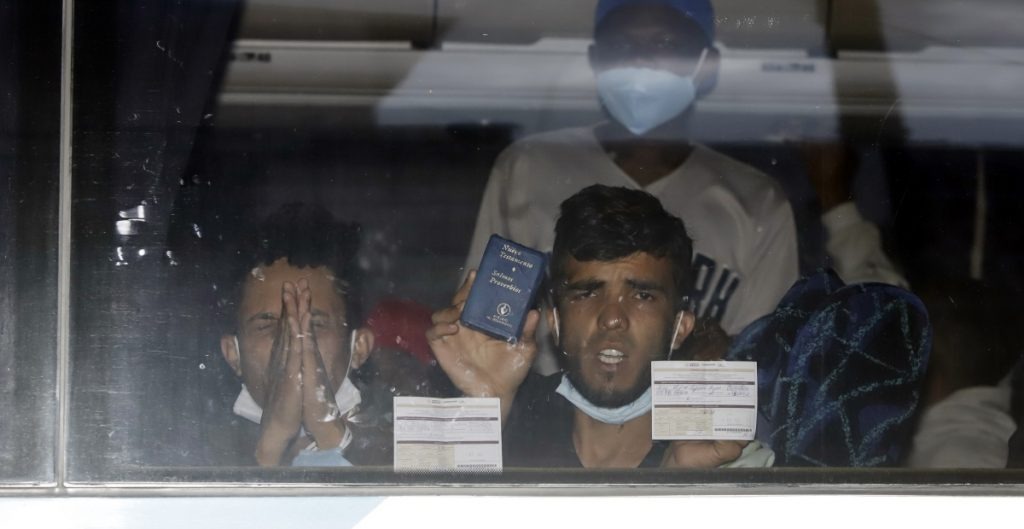 Migrantes latinus