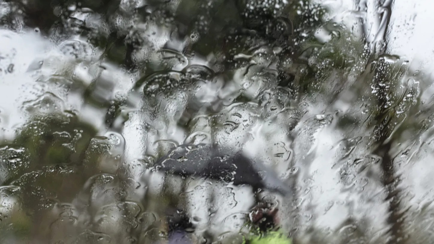 National geographic - Lluvia