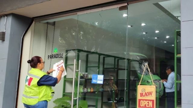 Paradise - forbes