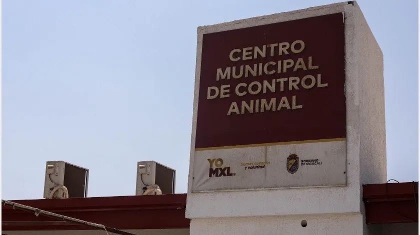 Control Animal - El Imparcial