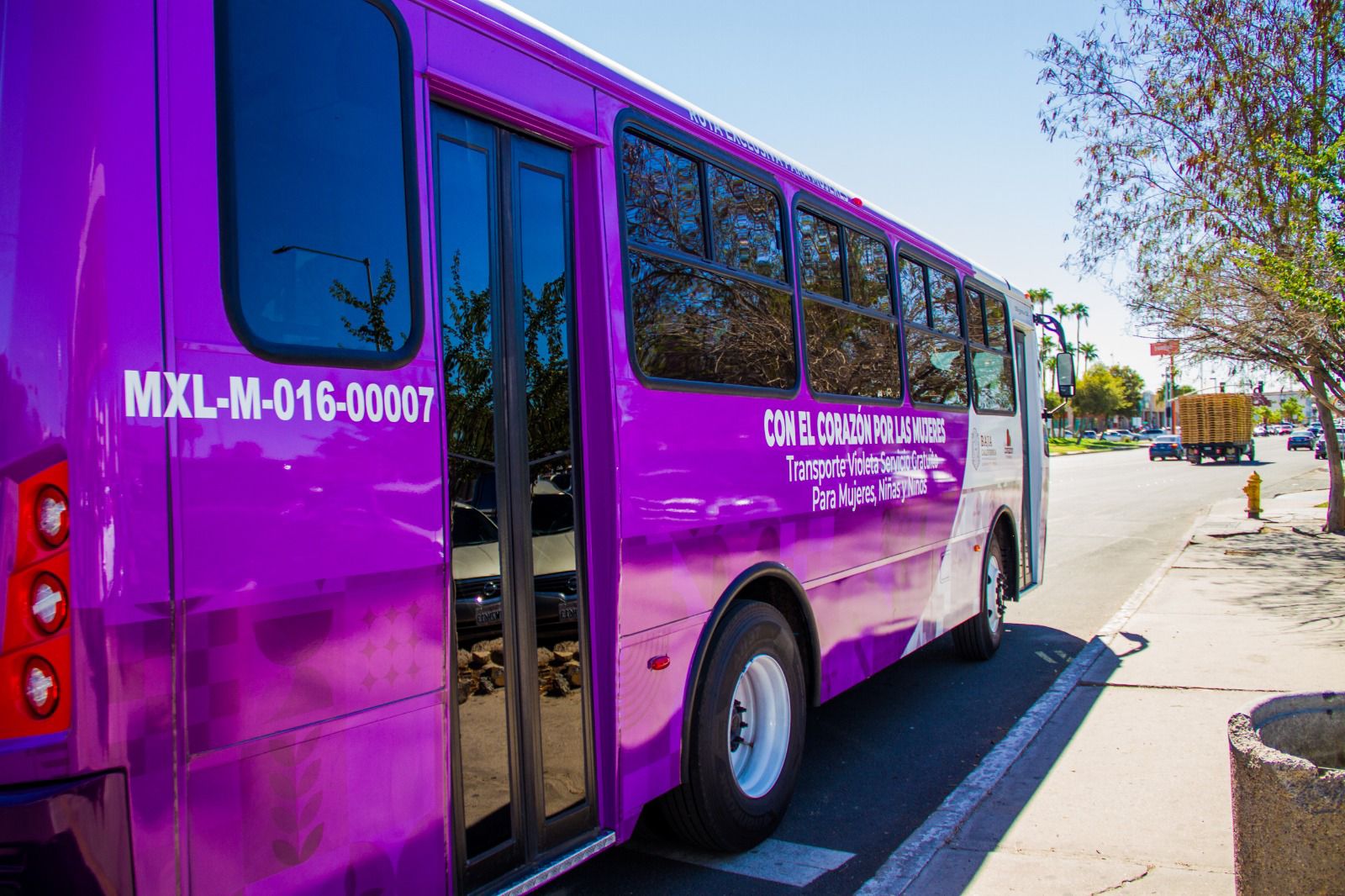 Transporte violeta 2-3