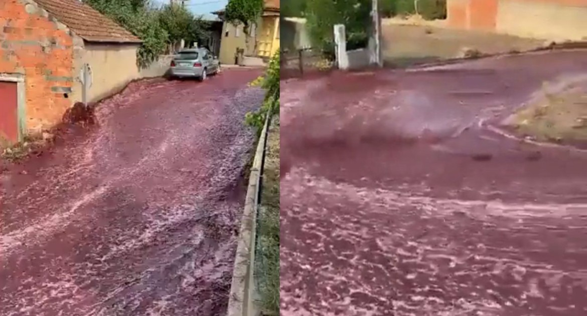 Canal 26 - vino calles
