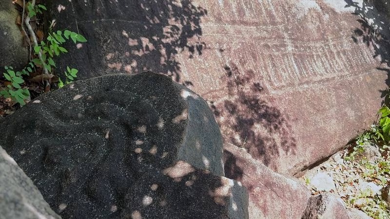 Ciudad Perdida - El Financiero