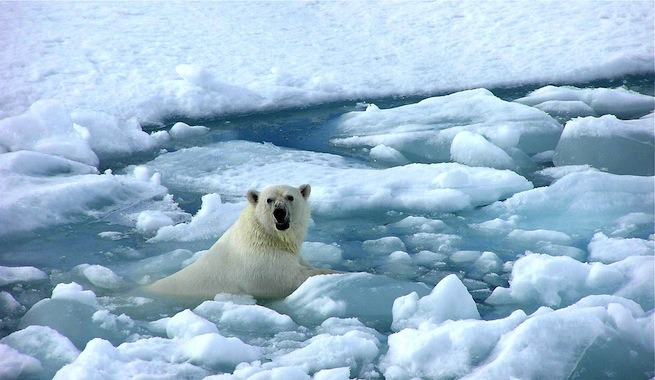 Clima.com - hielo