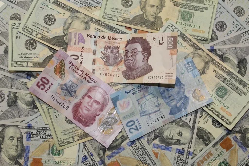 Dinero billetes robbreport