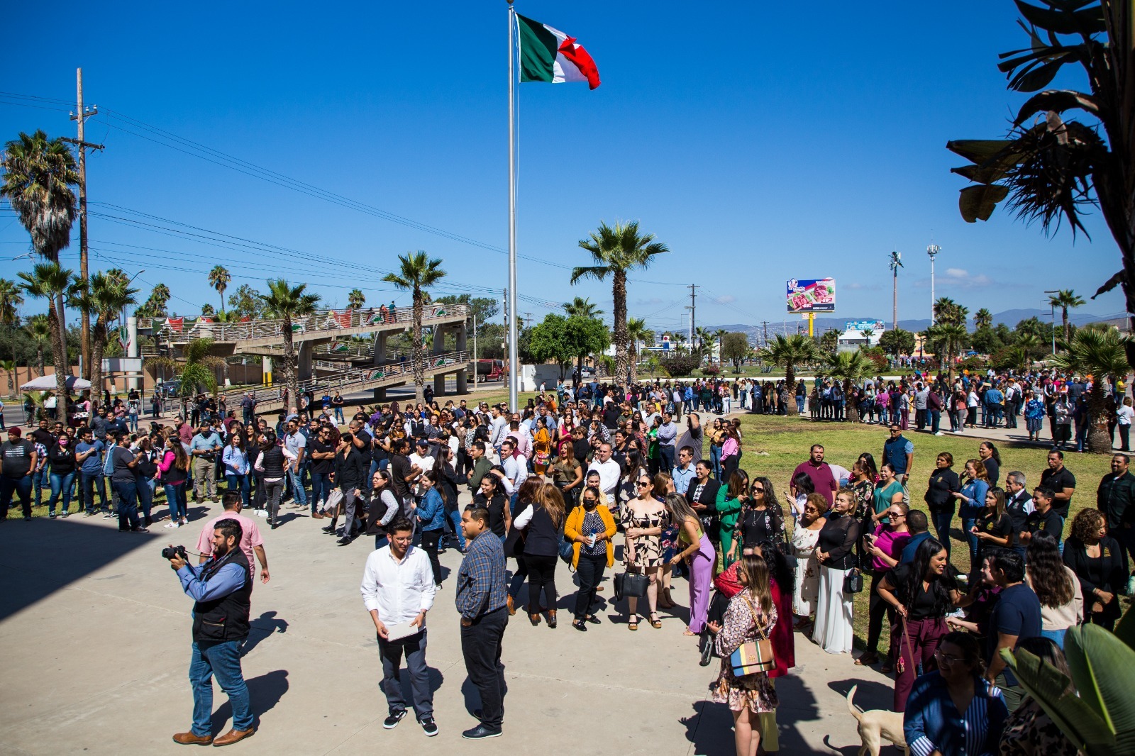 Ensenada simulacro