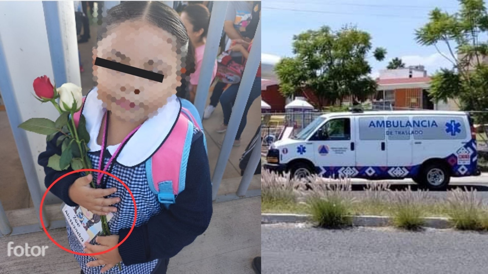 Periodicorreo- niña queretaro